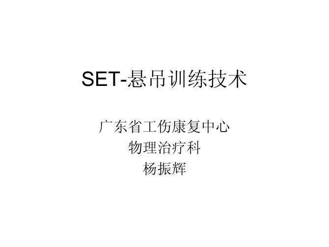 SET-悬吊训练技术