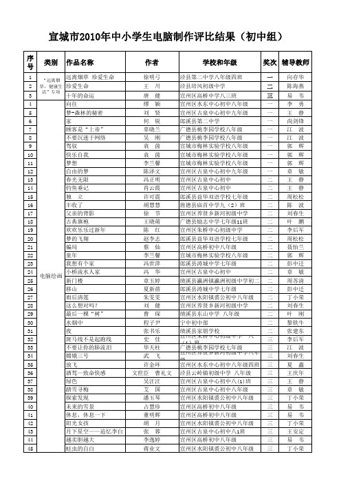 宣城市2010年中小学生电脑制作评比结果(初中组)