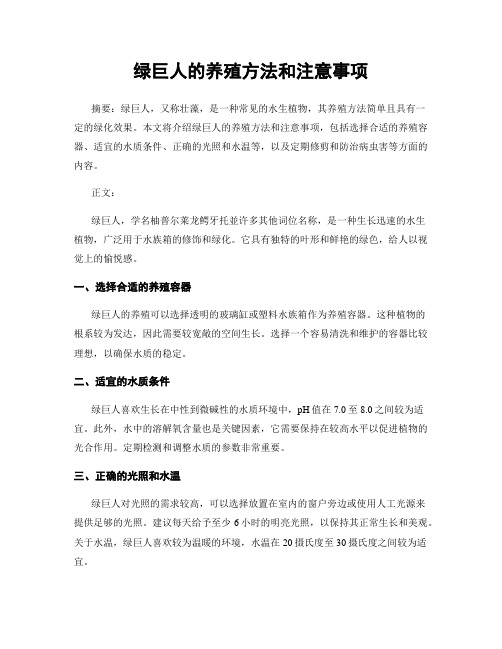 绿巨人的养殖方法和注意事项