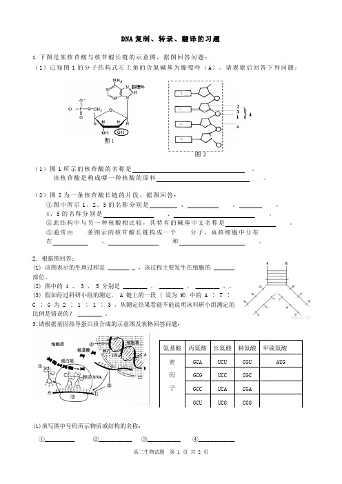 DNA复制、转录、翻译的习题(A4打印)