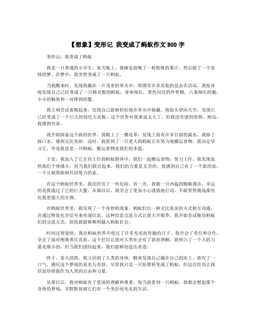 【想象】变形记 我变成了蚂蚁作文800字