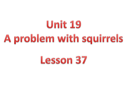 青少版新概念英语2B-Unit19-Lesson37-a-problem-with-squirrels教学提纲