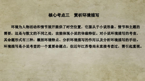 江苏高考语文总复习 现代文阅读专题一核心考点三 赏析环境描写