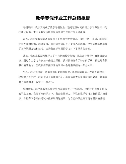 数学寒假作业工作总结报告