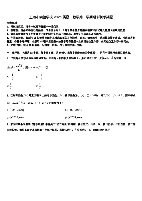 上海市实验学校2025届高二数学第一学期期末联考试题含解析