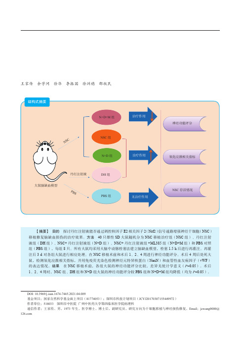 丹红注射液改善神经干细胞移植治疗脑缺血损伤效果的机制研究