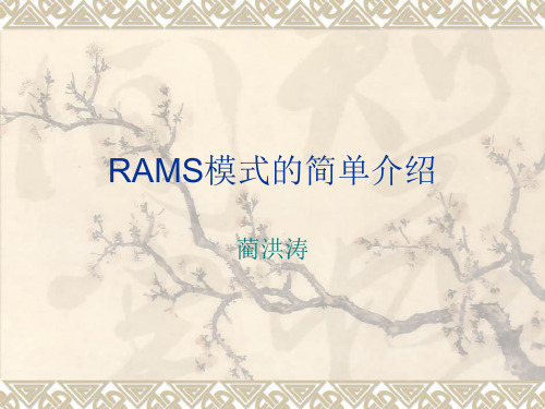 RAMS模式的简单介绍