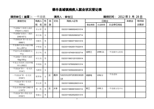 禄丰县城镇残疾人就业状况登记表(最新录入)