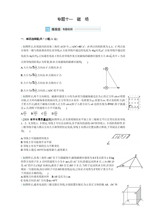 2021届新高考版高考物理一轮复习训练：专题十一 磁 场