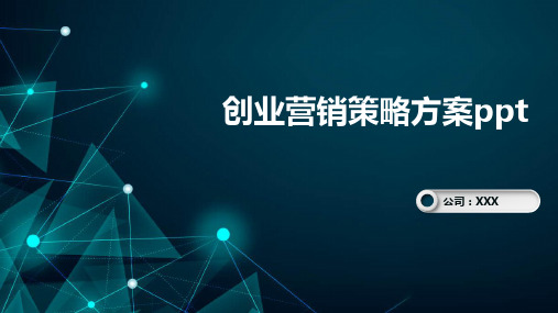 创业营销策略方案ppt