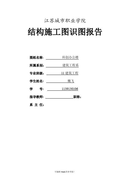 结构识图总结报告