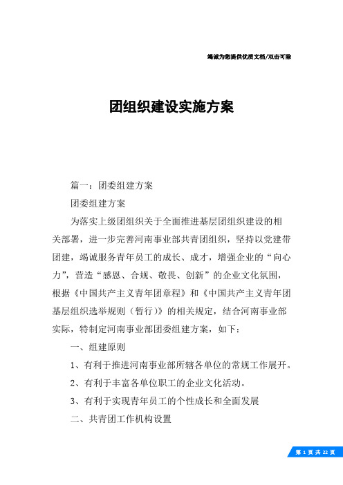 团组织建设实施方案