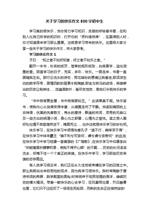 关于学习的快乐作文800字初中生