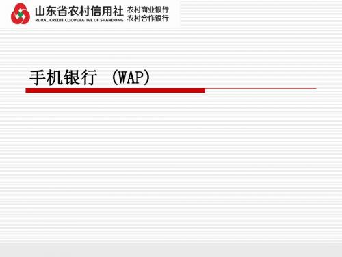 手机银行(WAP)