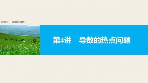 【新步步高】2017版高考数学(文江苏专用)大二轮总复习与增分策略专题二函数与导数 第4讲导数的热点问题