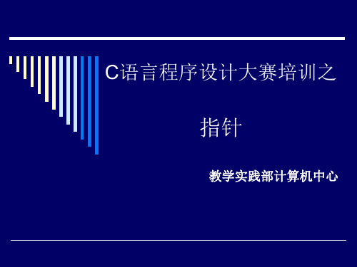 C语言指针(含例子)