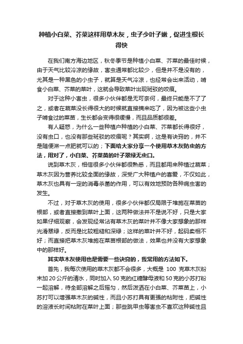 种植小白菜、芥菜这样用草木灰,虫子少叶子嫩,促进生根长得快