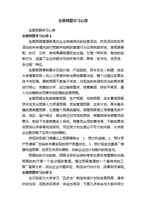 全面预算学习心得