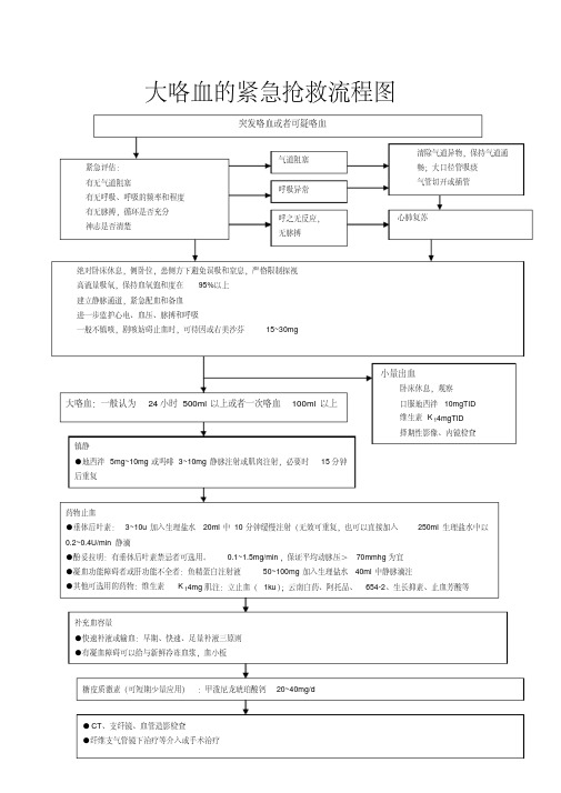 大咯血的紧急抢救流程图