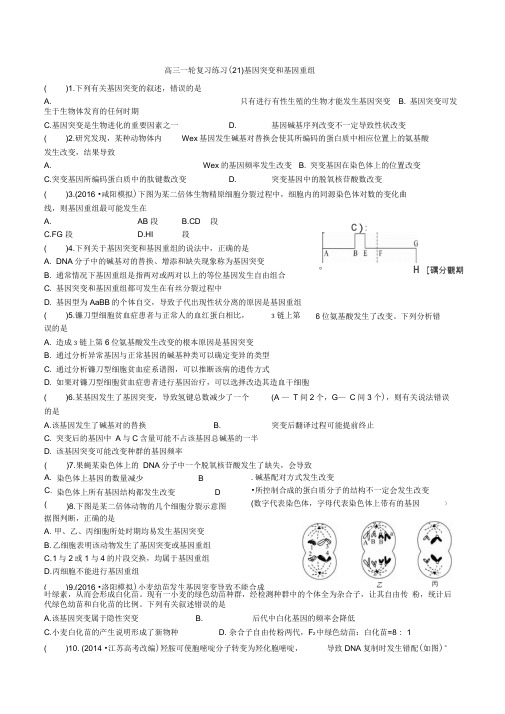 基因突变和基因重组试题