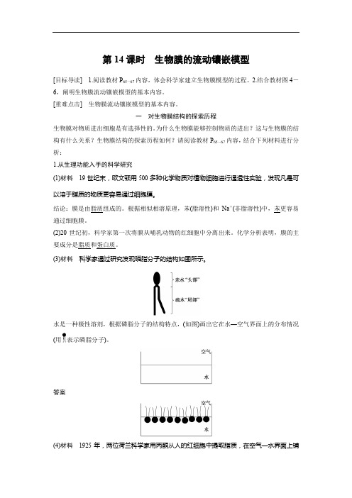 生物人教版必修1习题：4.2 生物膜的流动镶嵌模型 word版含解析