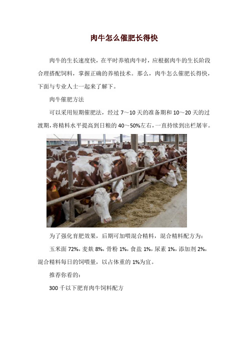 肉牛怎么催肥长得快