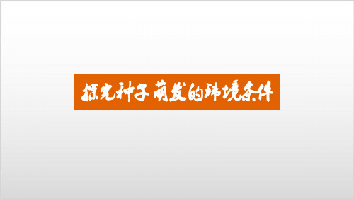 七年级生物上探究种子萌发的环境条件课件 【人教版】PPT实用课件