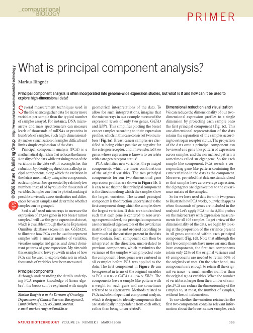 what is principal component analysis