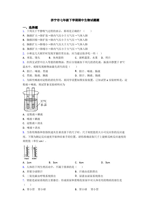 济宁市七年级下学期期中生物试题题