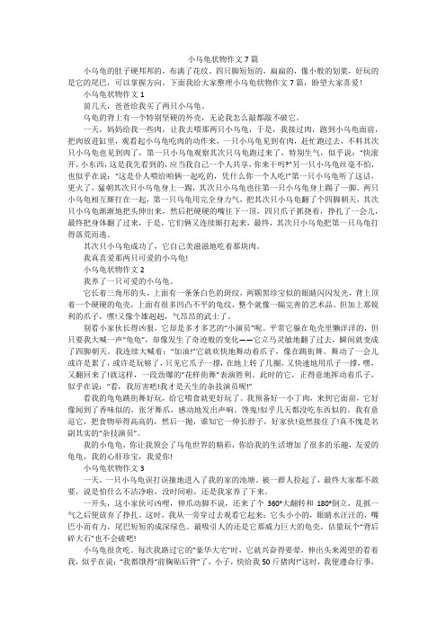 小乌龟状物作文7篇