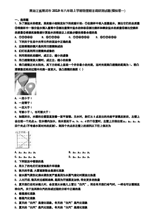 黑龙江省黑河市2019年八年级上学期物理期末调研测试题(模拟卷一)