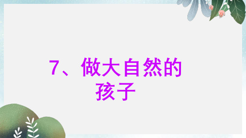 二年级科学上册1.7做大自然的孩子课件教科版