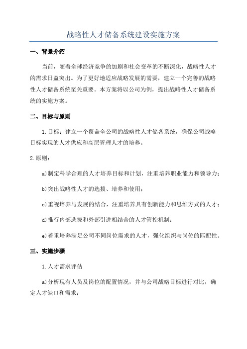 战略性人才储备系统建设实施方案