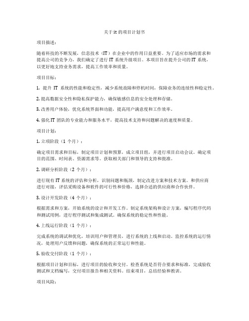 关于it的项目计划书