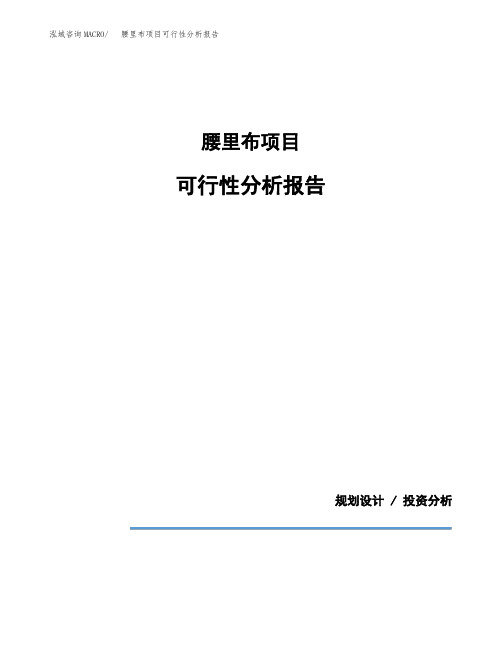 腰里布项目可行性分析报告(模板参考范文)