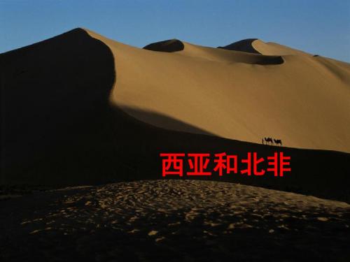 西亚和北非