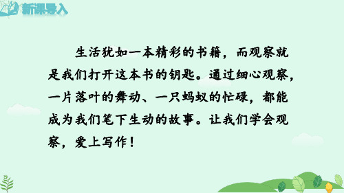 第一单元写作《热爱写作,学会观察》课件-2024-2025学年统编版语文七年级上册(2024)