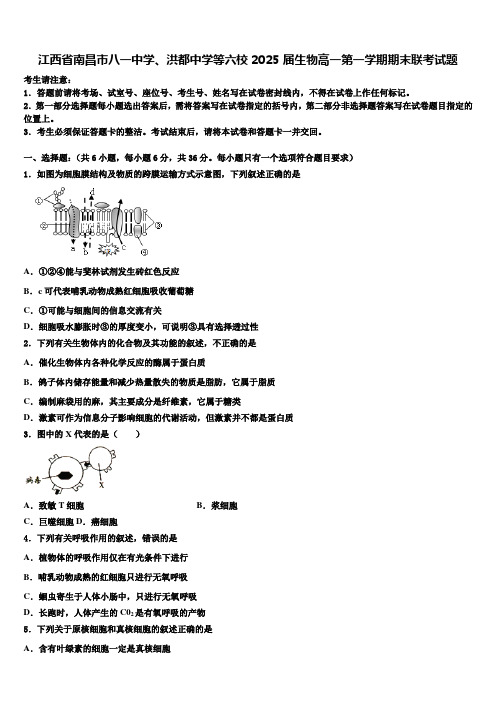 江西省南昌市八一中学、洪都中学等六校2025届生物高一第一学期期末联考试题含解析