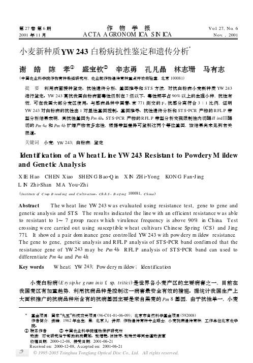 小麦新种质YW243白粉病抗性鉴定和遗传分析