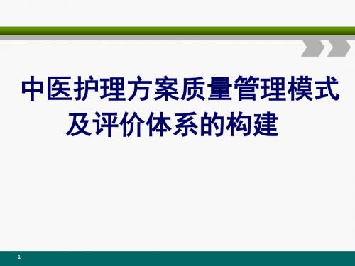 中医护理方案  ppt课件