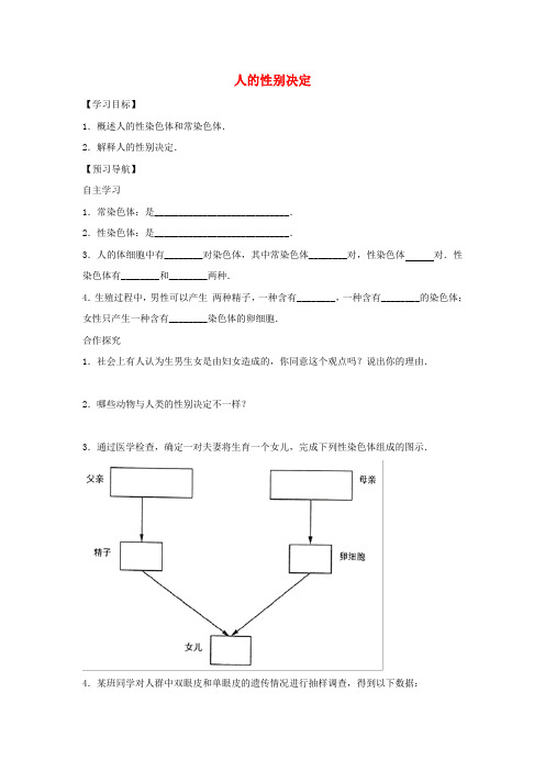 2020八年级生物下册 8.22.3人的性别决定导学案(答案不全)(新版)苏教版