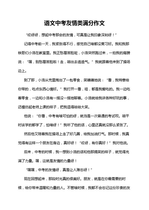 语文中考友情类满分作文