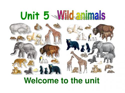 牛津译林版8A Unit5 Wild animals Welcome to the unit课件(共34张PPT)