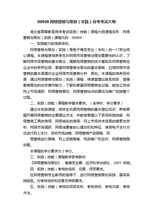 00909网络营销与策划（实践）自考考试大纲