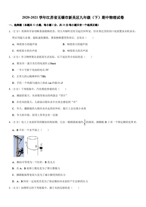 2020-2021学年江苏省无锡市新吴区九年级(下)期中物理试卷