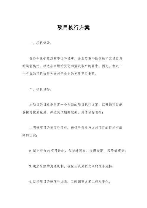 项目执行方案