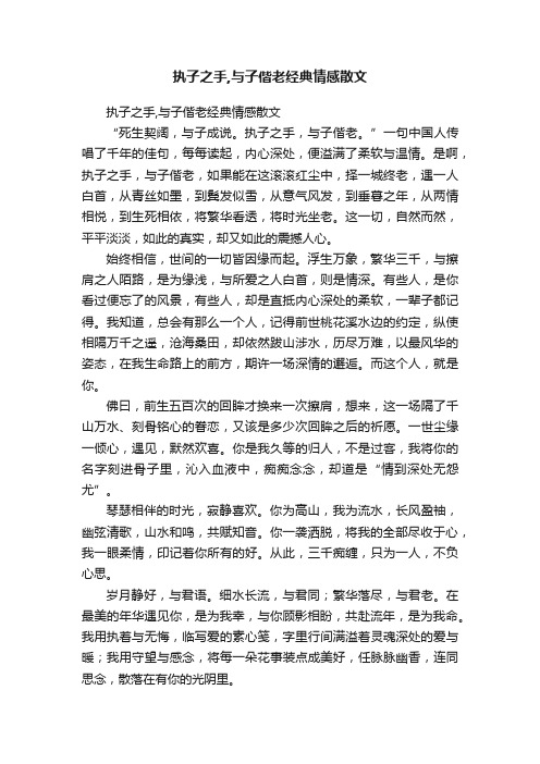 执子之手,与子偕老经典情感散文