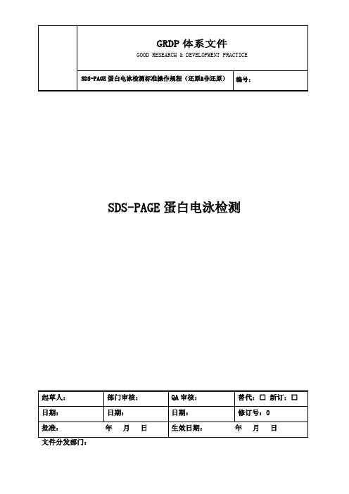 SDS-PAGE蛋白电泳检测标准操作规程(非还原&还原)