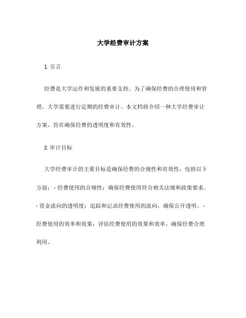 大学经费审计方案