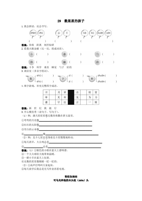 二年级语文 优化练习 第29课数星星的孩子试题及答案